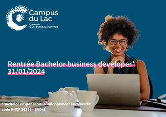 Bachelor business developer