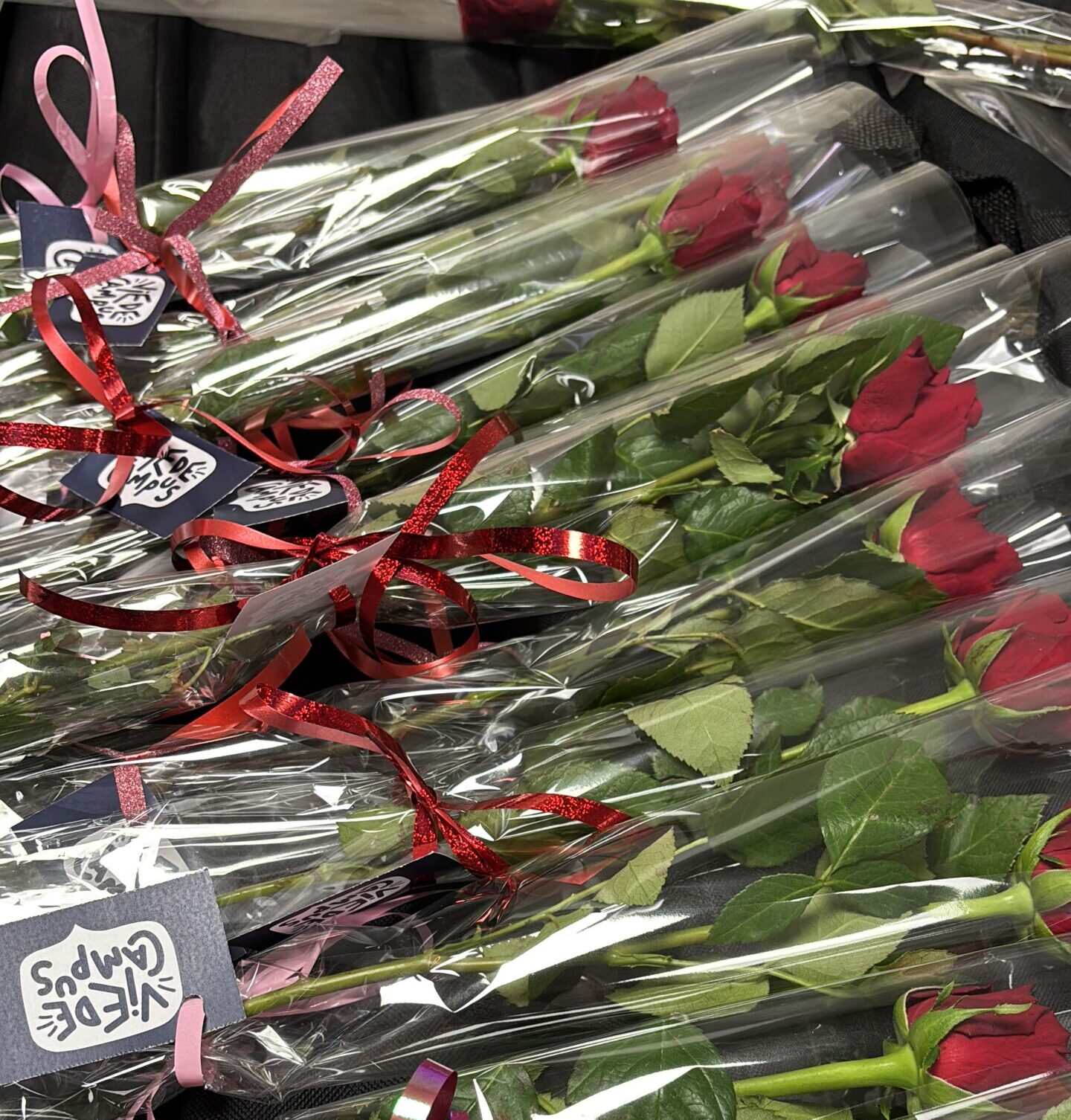 vente de rose pour la saint valentin au campus du lac