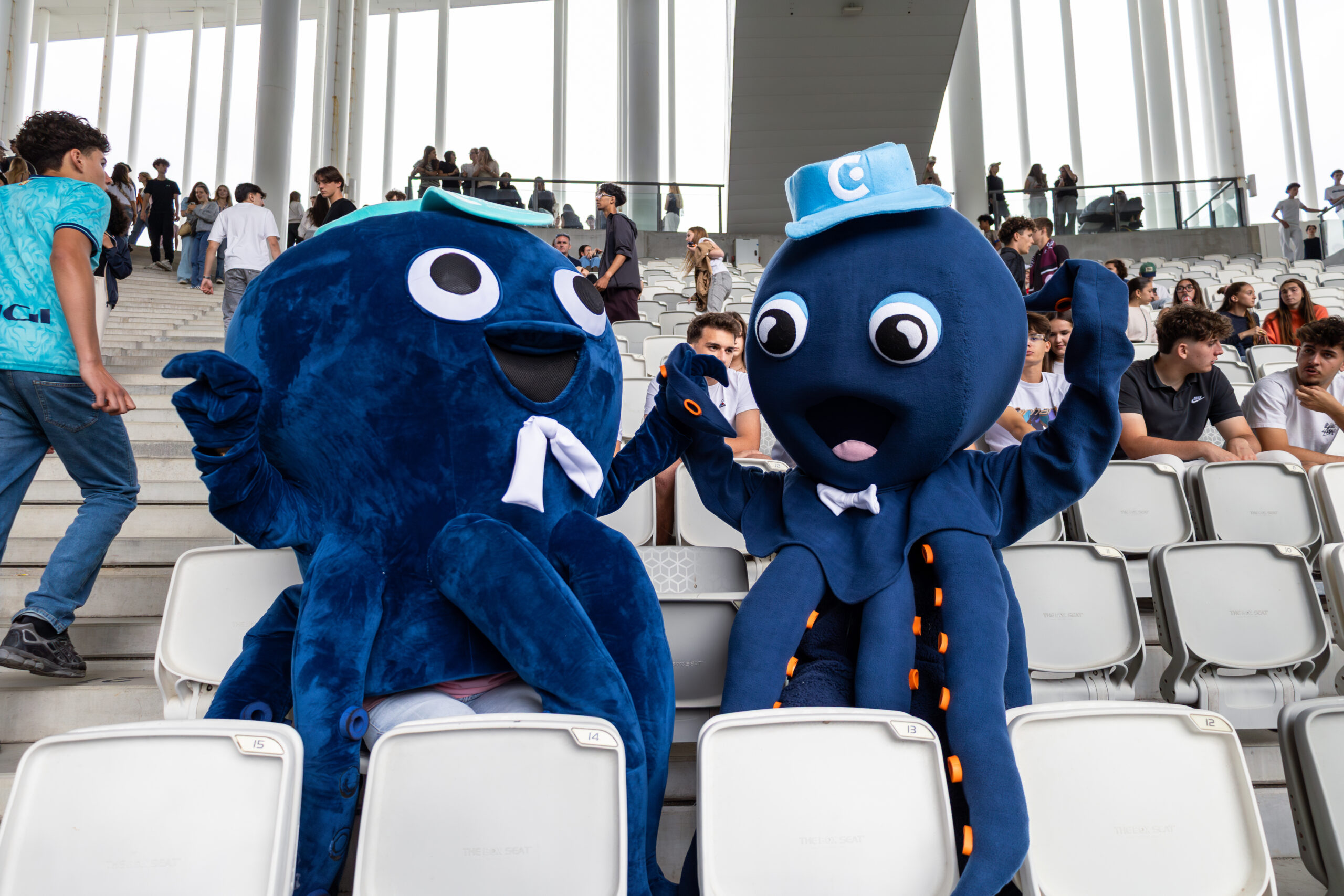 Poupy et Poulpito, les mascottes poulpes du campus du lac